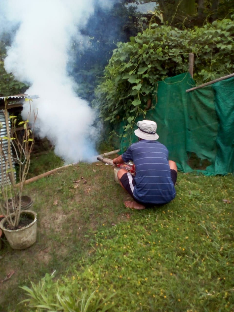 Nagaland: Dengue cases see drastic drop in 2019